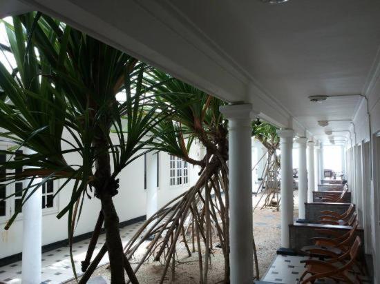 Ap Nippon Beach Hikkaduwa Exterior photo