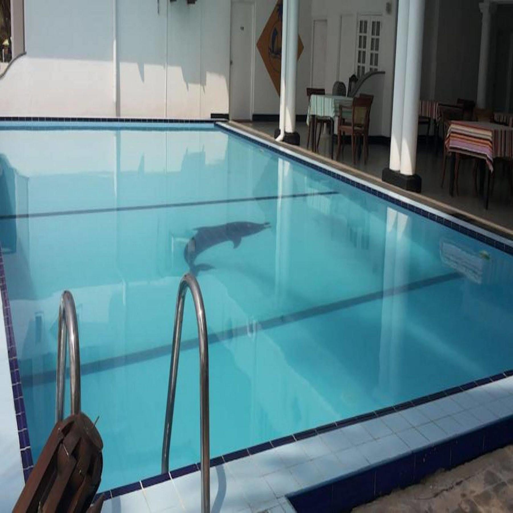 Ap Nippon Beach Hikkaduwa Exterior photo